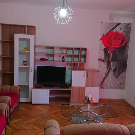 Apartments Vesna Kampor Kültér fotó